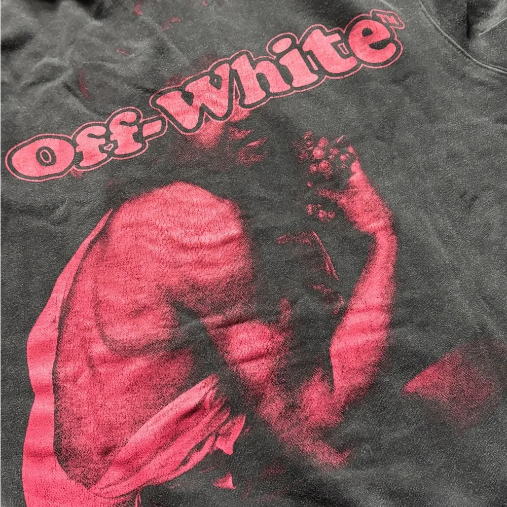 Off-White Hoodie - Picture 10 of 11